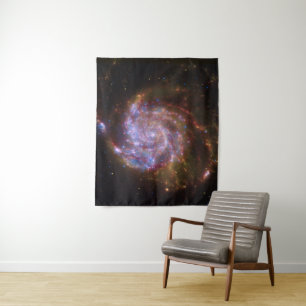 Tenture Starbirth in the Pinwheel : Galaxy M101