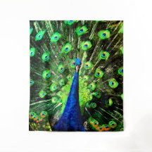 Strut de Peacock