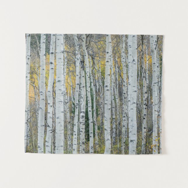 Tenture Troncs d'arbre d'Aspen | Aspen, Colorado (Devant (Horizontal))