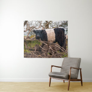 Tenture Vache galloway ceinturée debout par arbre tombé