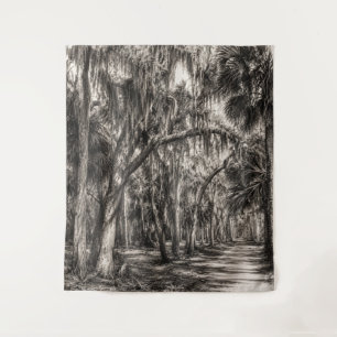 Tenture Vieux chêne de Floride Graphite Hammock Sketch R