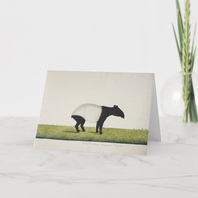 Tepir Gruß-Karte Karte (Vorderseite)