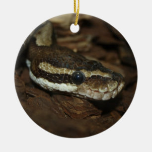 Teppichpython Keramikornament