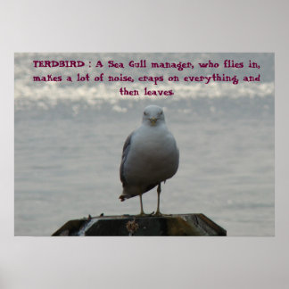 TERDBIRD : Ein Sea Gull Manager, der... Poster