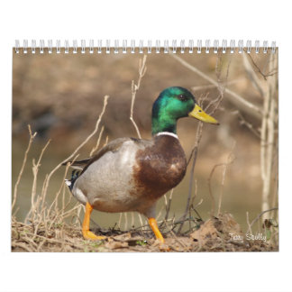 Terminkalender für die Jagd auf Mallard-Enten Kalender