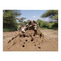 Termite Hill in Tansania