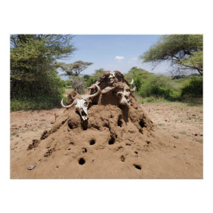 Termite Hill in Tansania Poster