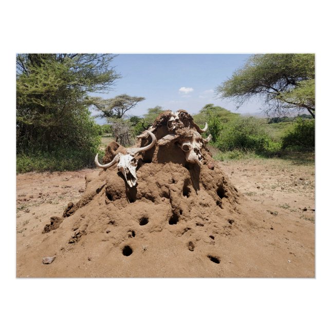 Termite Hill in Tansania Poster (Vorderseite)