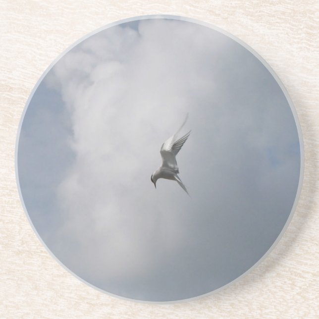 Tern am Himmel Untersetzer (Vorne)