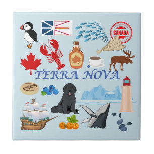 Terra Nova Neufundland Fliese