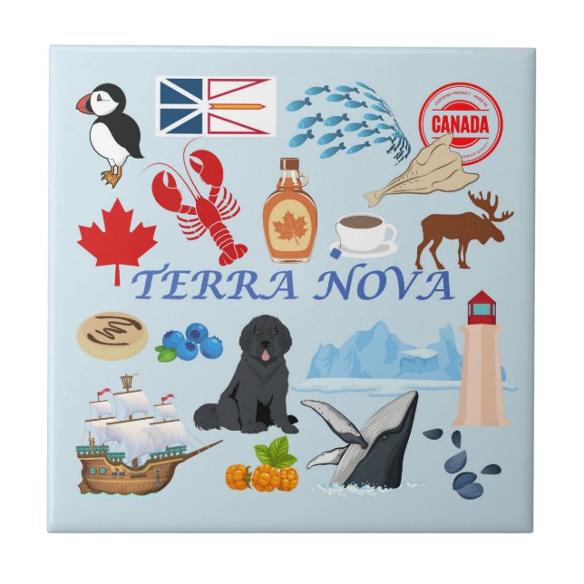 Terra Nova Neufundland Fliese (Vorderseite)