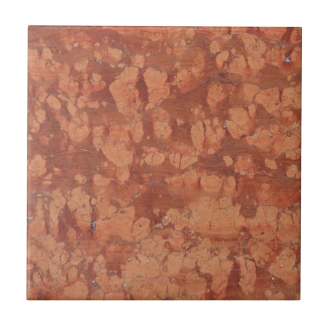 Terracotta Fliese (Vorderseite)