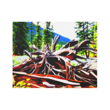Terrain de camping rouge No.3 de montagne