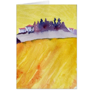 Terrain de tournesol