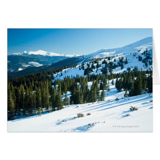 Terrain d'hiver 3 (Devant horizontal)