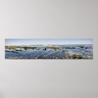 Terramar Beach-Carlsbad Poster