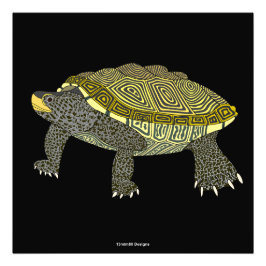 Terrapin (black) - Photo Print Fotodruck