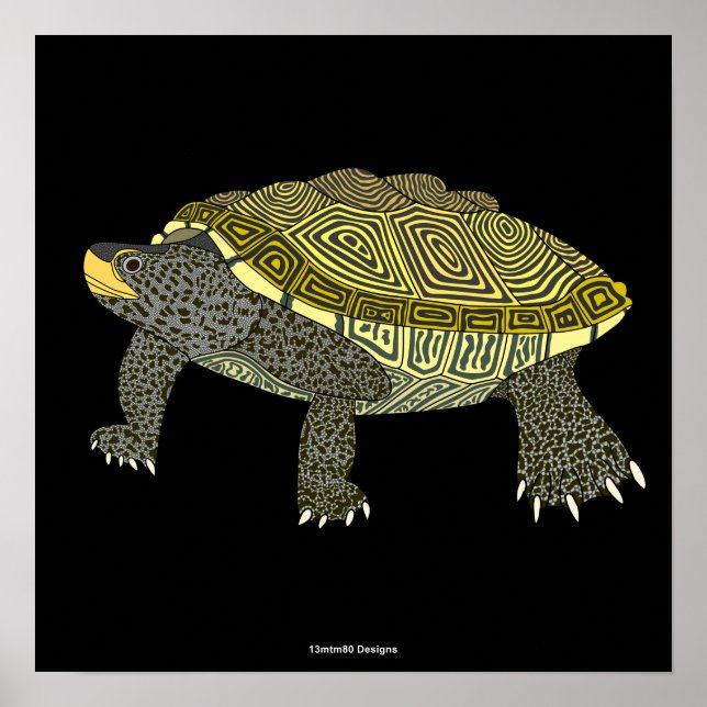 Terrapin (black) - Poster Print (Devant)
