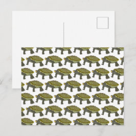 Terrapin (Muster weiß) - Postkarte