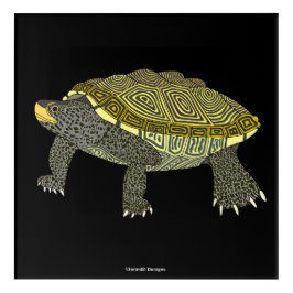 Terrapin (schwarz) - Acryldruck