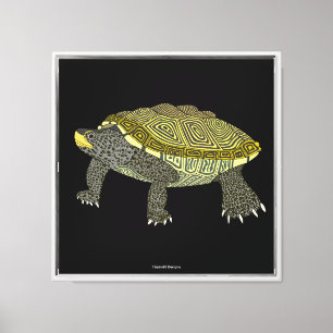 Terrapin (schwarz) - Leinwanddruck