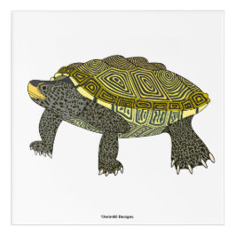 Terrapin (weiß) - Acryldruck