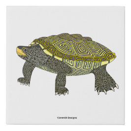 Terrapin (weiß) - Faux Canvas Künstlicher Leinwanddruck