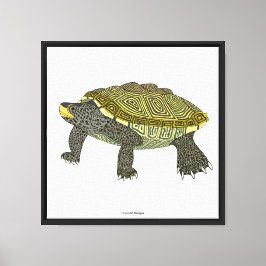 Terrapin (weiß) - Leinwanddruck