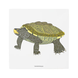 Terrapin (weiß) - Metalldruck
