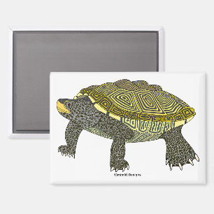 Terrapin (weiß) - Rechteck-Magnet Magnet