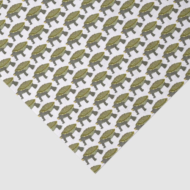 Terrapin (weiß) - Seidenpapier (Ausschnitt)