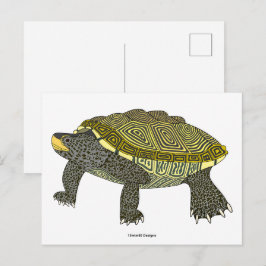 Terrapin (white) - Postcard Postkarte