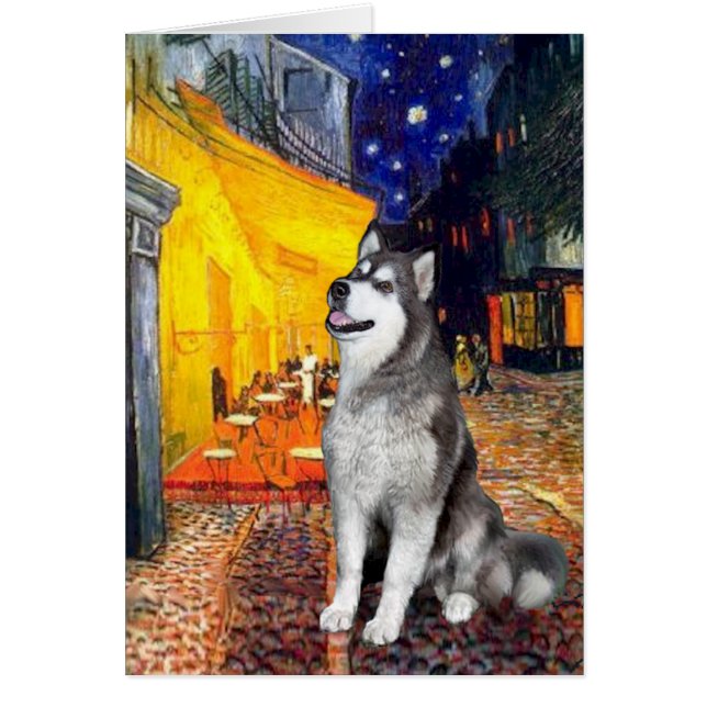 Terrasse Café - Malamute d'Alaska (Devant)