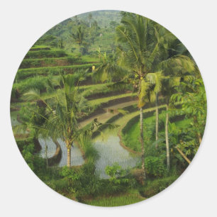 Terrasse Ricefield in Bali Runder Aufkleber