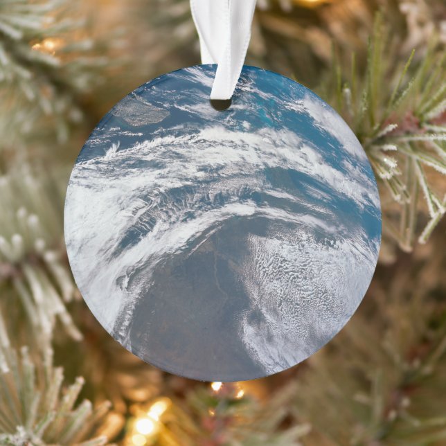 Terre De L'Appareil Spacecraft Apollo 12. (Arbre)