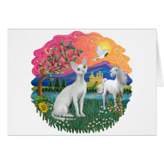 Terre d'Imaginaire (ff) - Devonshire Rex cat