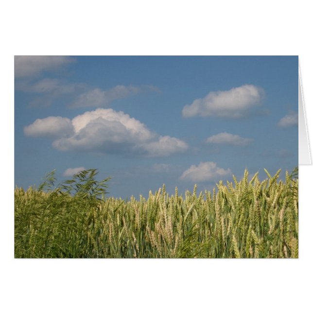 Terre et ciel (Devant horizontal)