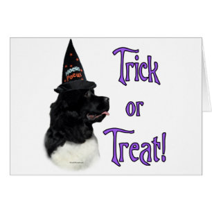 Terre-Neuve (atterrisseur) Trick