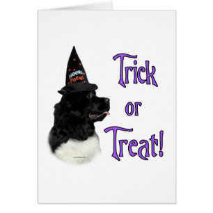 Terre-Neuve (atterrisseur) Trick