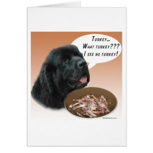 Terre-Neuve (noir) Turquie