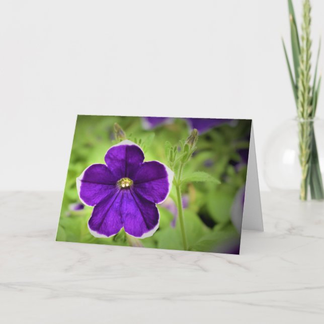 Terre verte, carte (Devant)