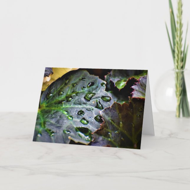 Terre verte, carte (Devant)