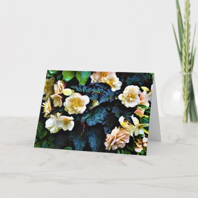 Terre verte, carte (Devant)