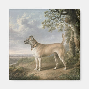 Terrier auf einem Weg in einer bewaldeten Magnet