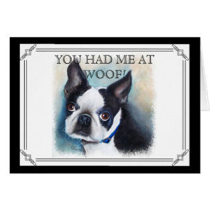 TERRIER BOSTON NOIR ET BLANC