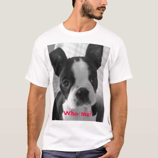 Terrier bw Boston, wer ich? T-Shirt (Vorderseite)