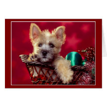 Terrier Christmas