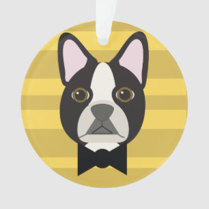 Terrier de Boston