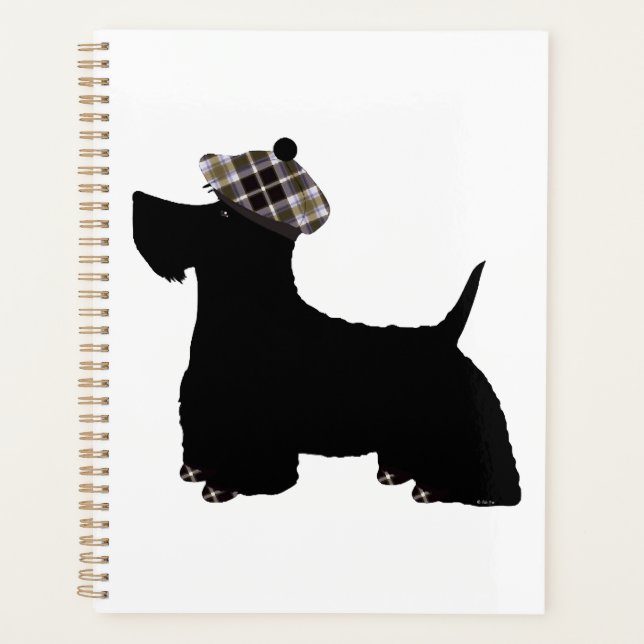 Terrier écossais (Devant)