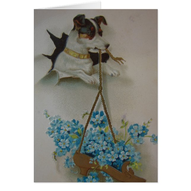 Terrier et chaussure (Devant)